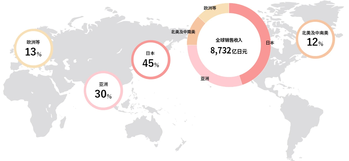 按地区划分的销售收入